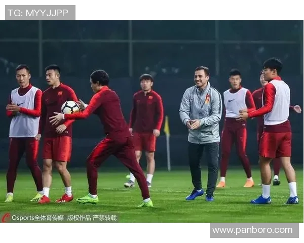 那些年与我相识的足球巨星们他们的成长历程与场上风采